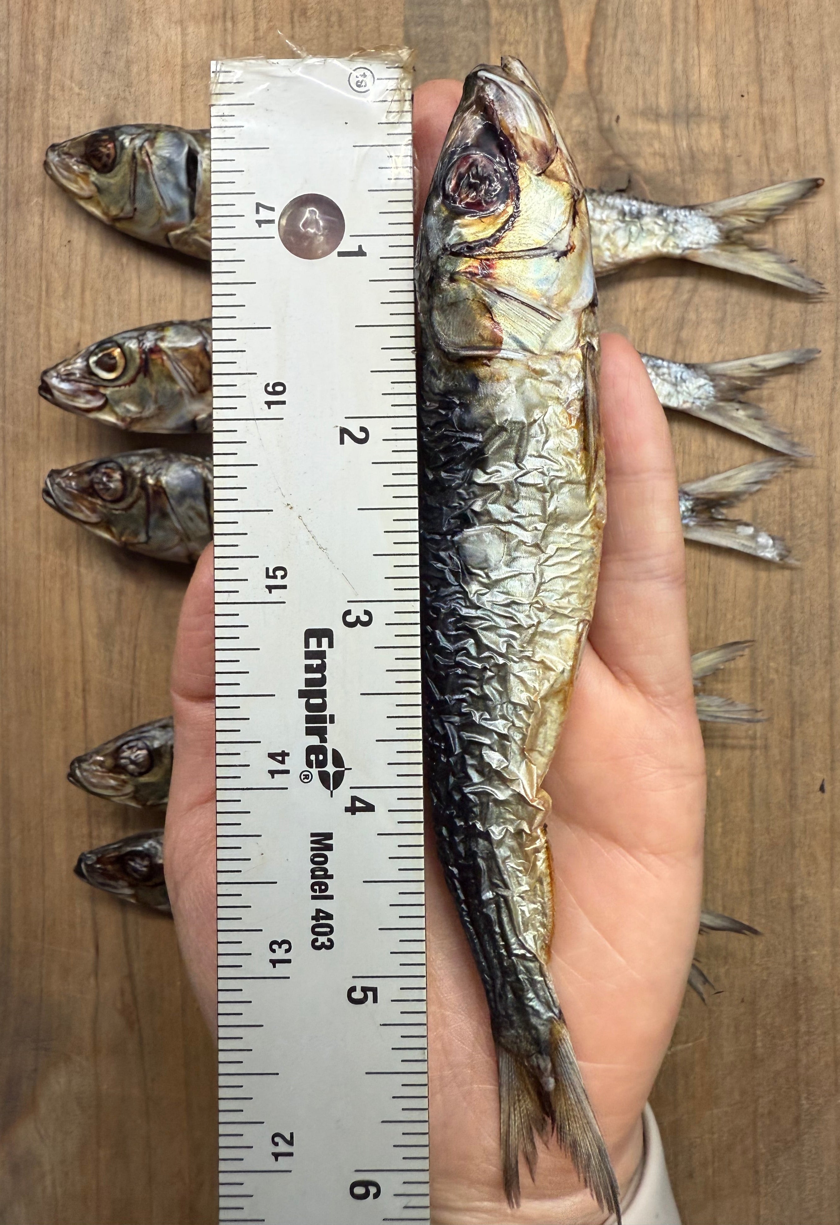 Wild caught dried sardines