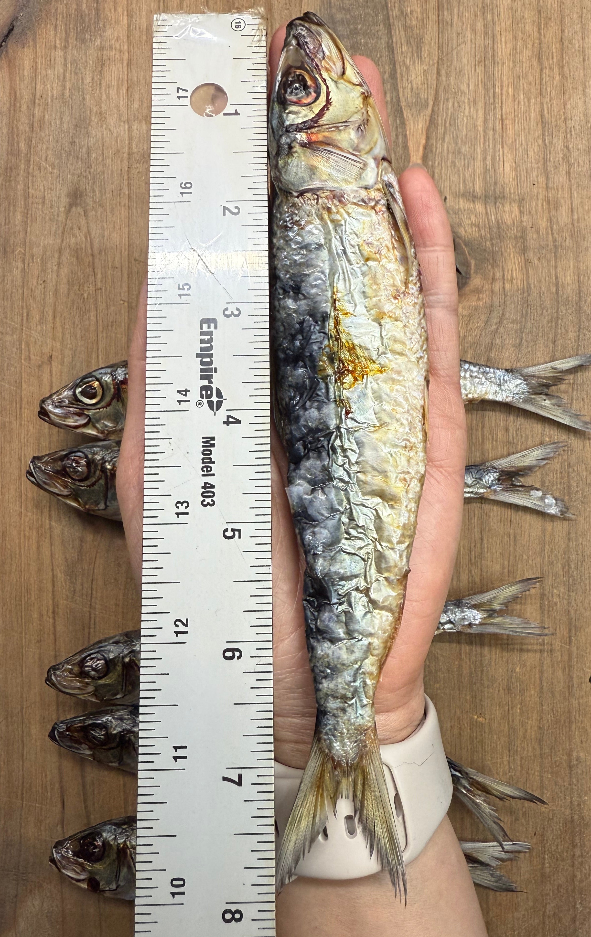 Wild caught dried sardines